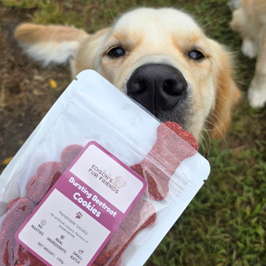 Bursting Beetroot Dog Treat Cookies