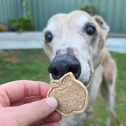 Apple Pie Dog Treat Cookies