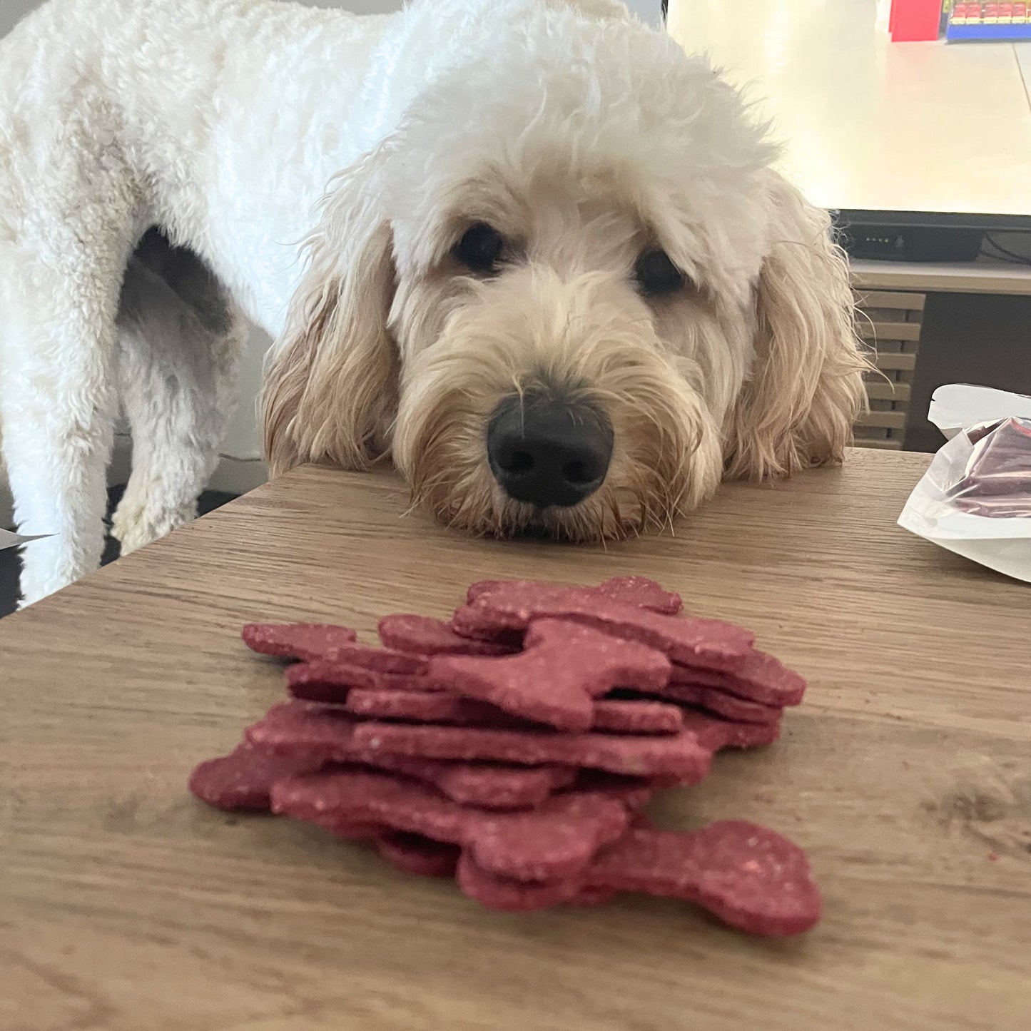 Bursting Beetroot Dog Treat Cookies