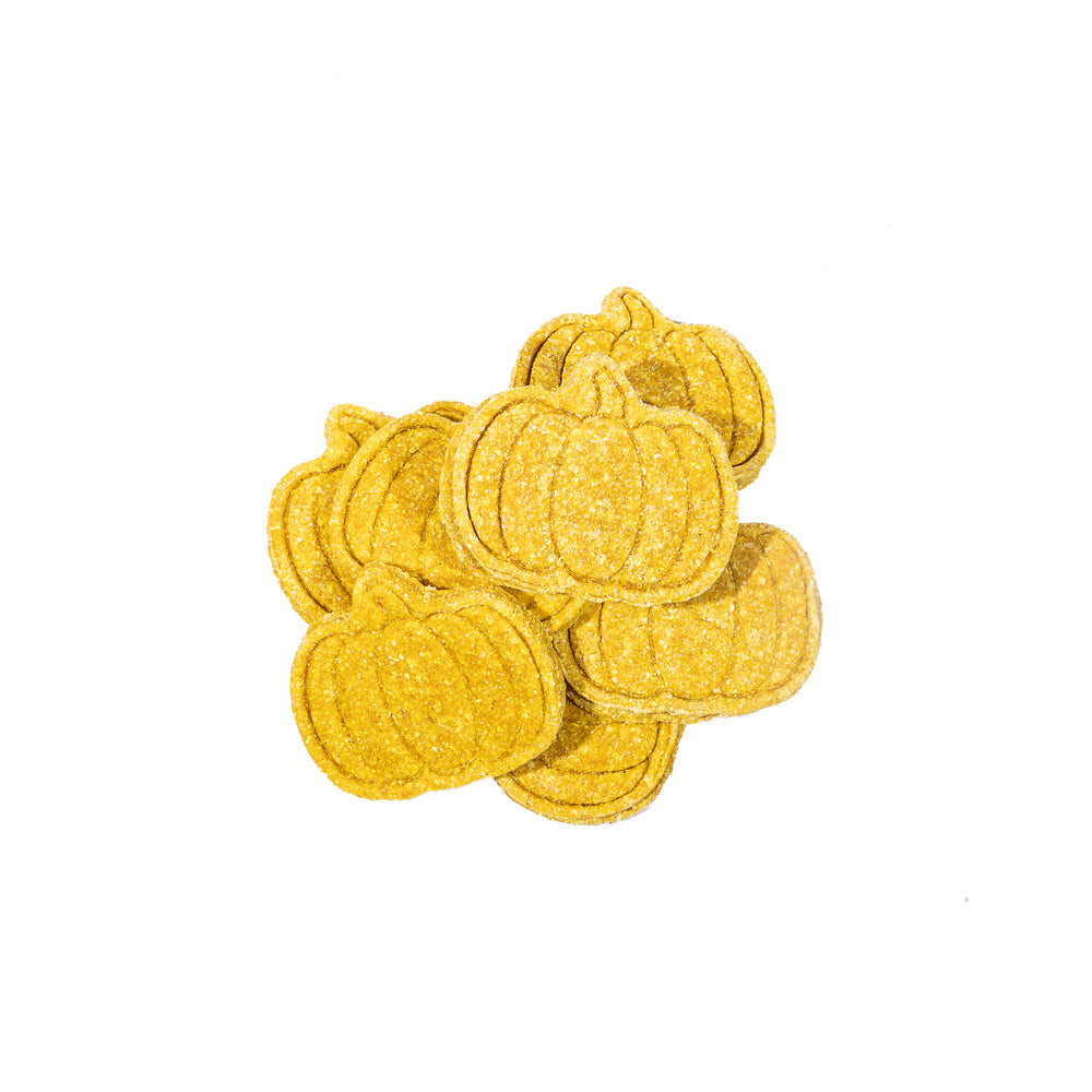 Pumpkin Delight Dog Treat Cookies